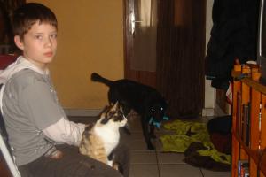 Photo du logement