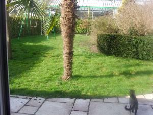Photo du logement