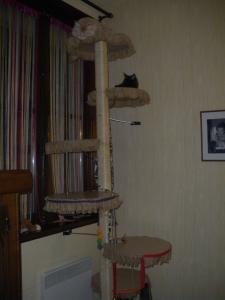 Photo du logement