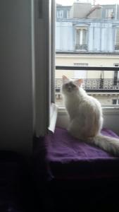 Photo du logement