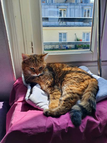 Photo du logement