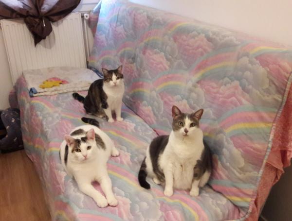 Photo du logement