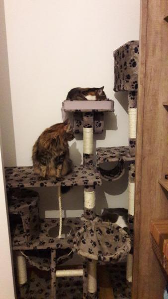 Photo du logement