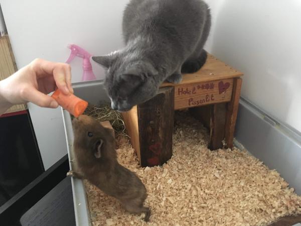 Photo du logement