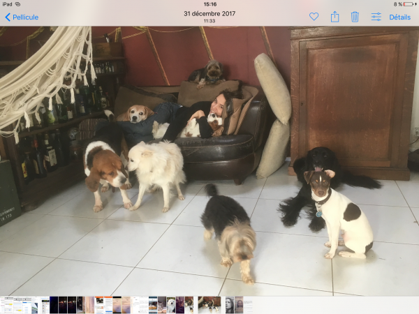 Photo du logement