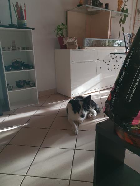 Photo du logement