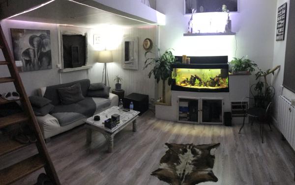 Photo du logement