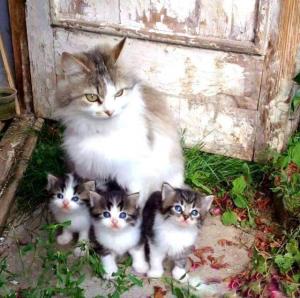 Photo du logement