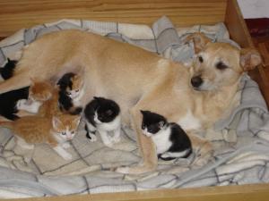 Photo du logement