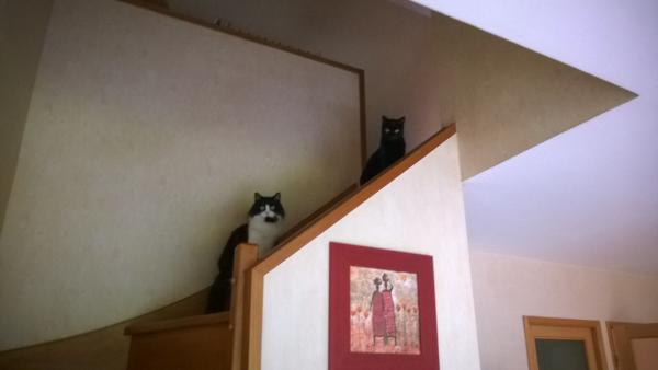 Photo du logement