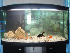 Photo du logement