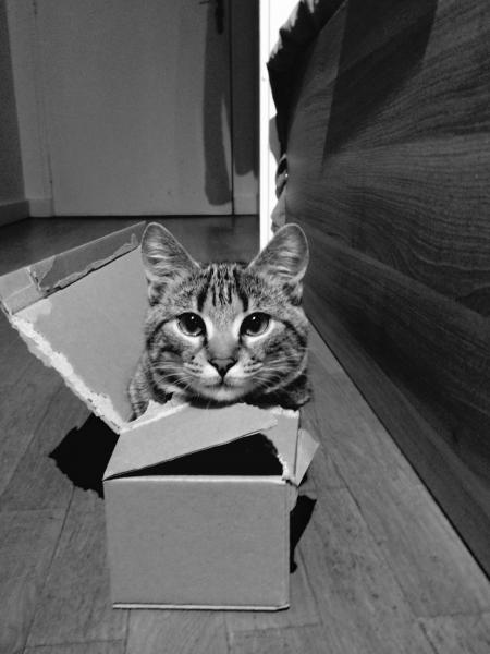 Photo du logement