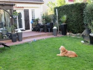 Photo du logement