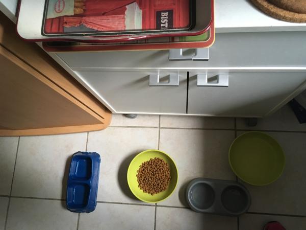 Photo du logement