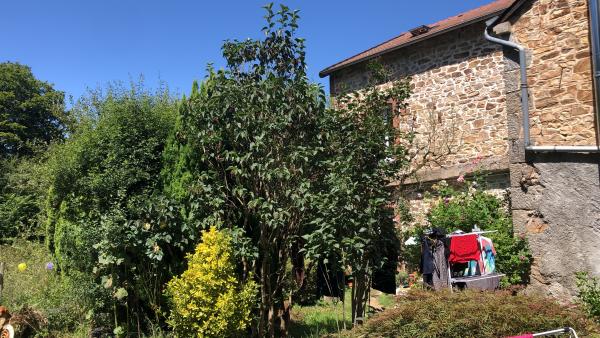 Photo du logement