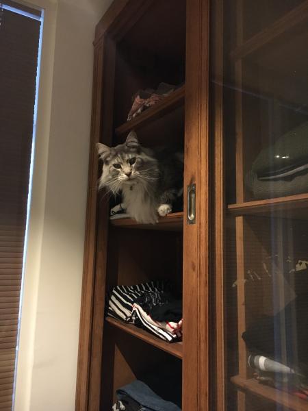 Photo du logement