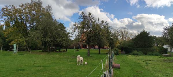 Photo du logement