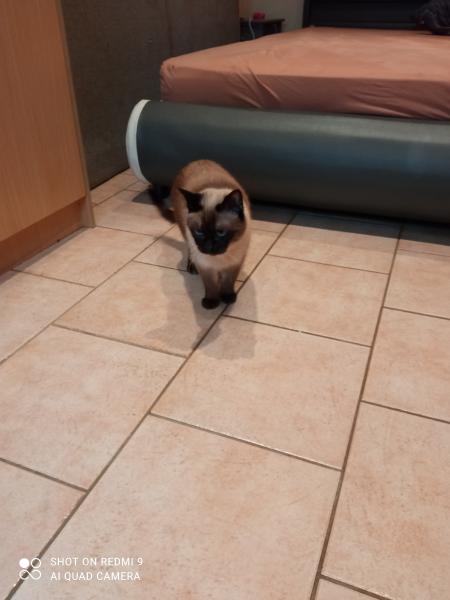 Photo du logement
