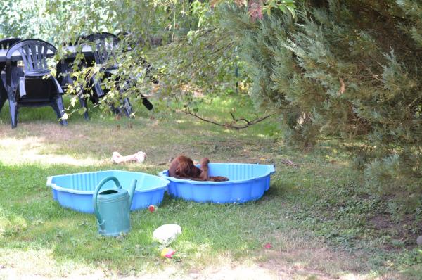 Photo du logement