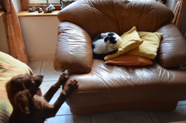 Photo du logement