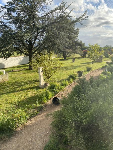 Photo du logement