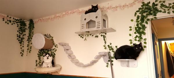Photo du logement