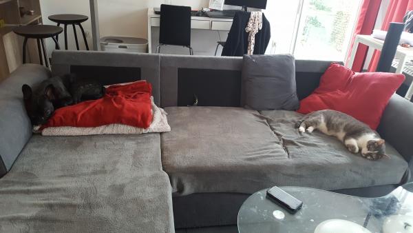 Photo du logement