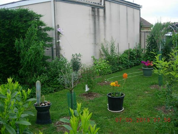 Photo du logement