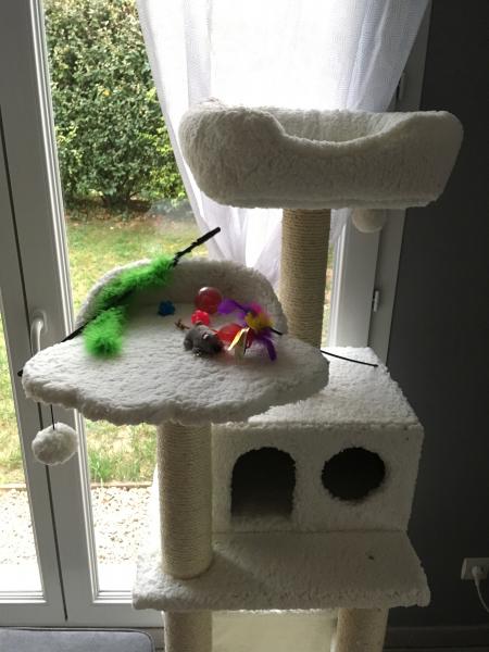 Photo du logement