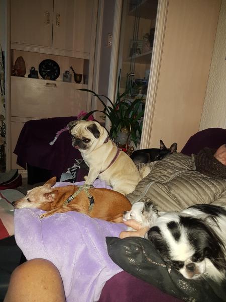 Photo du logement