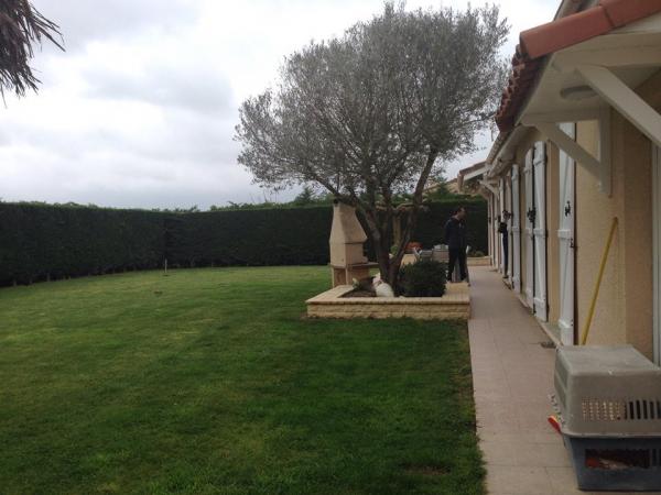Photo du logement