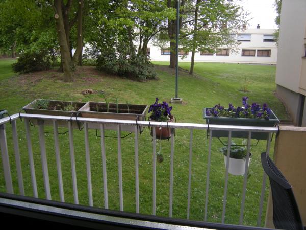 Photo du logement