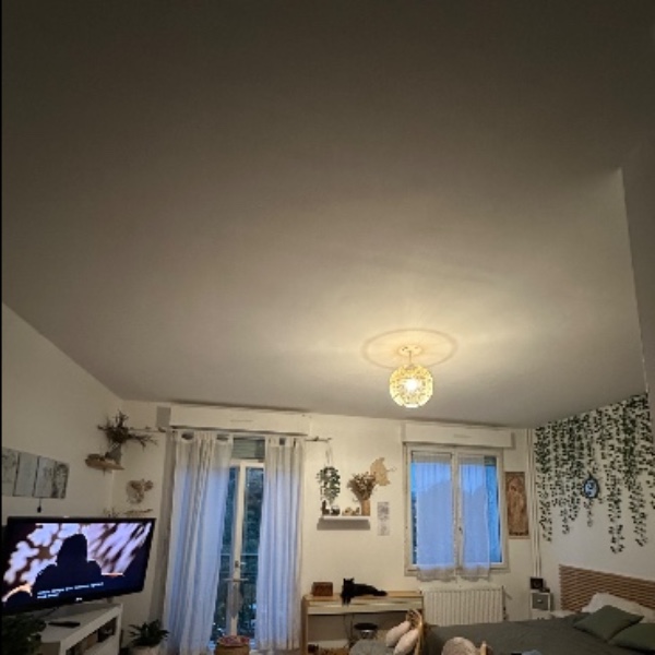 Photo du logement