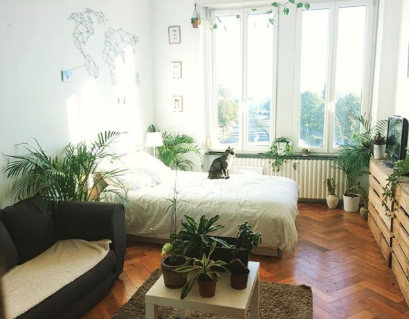 Photo du logement