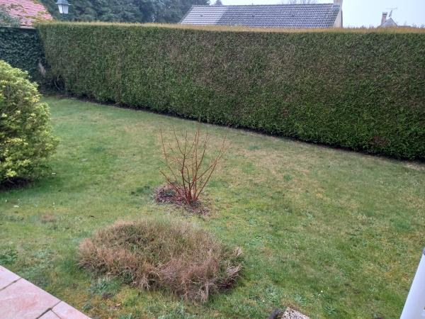 Photo du logement