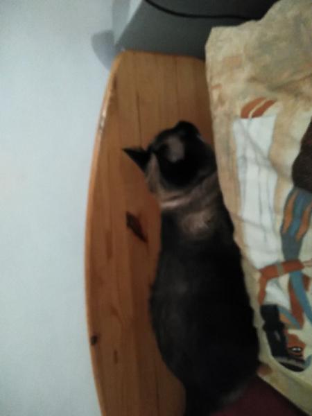 Photo du logement