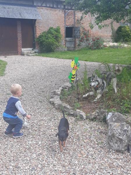 Photo du logement