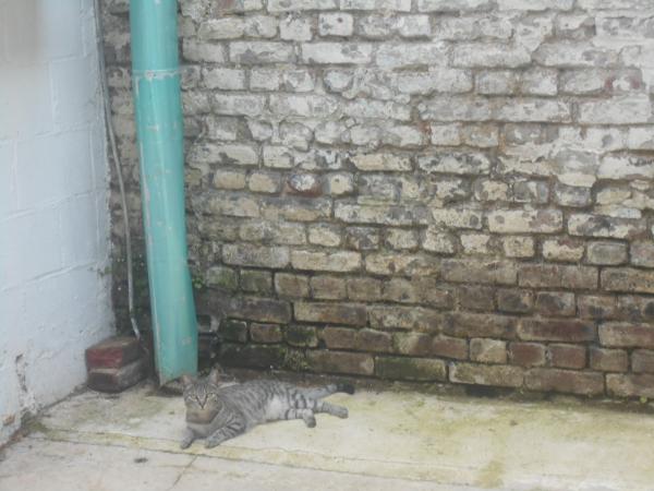 Photo du logement