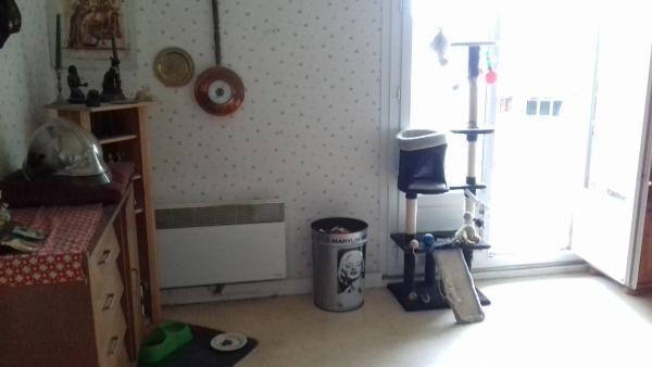 Photo du logement