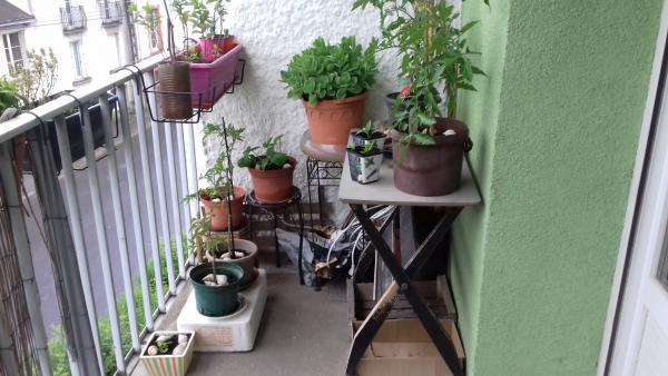 Photo du logement