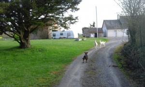 Photo du logement