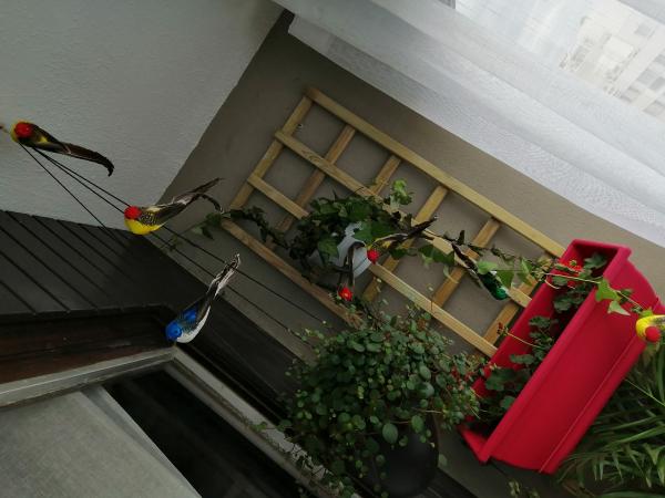 Photo du logement