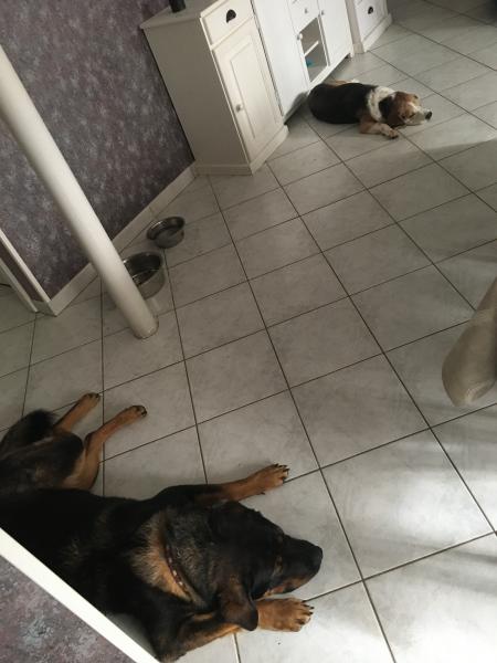 Photo du logement