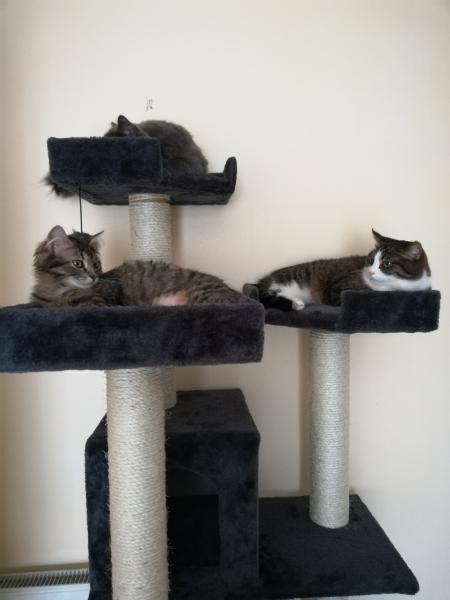 Photo du logement