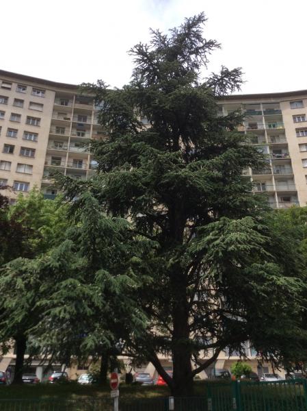 Photo du logement