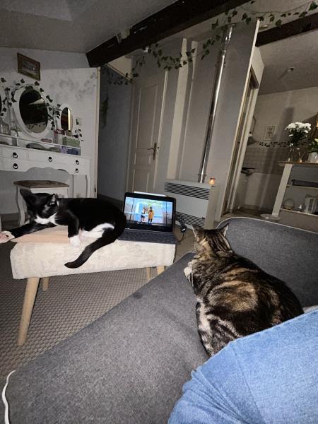 Photo du logement