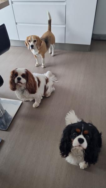 Photo du logement