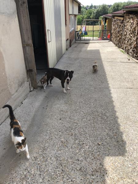 Photo du logement
