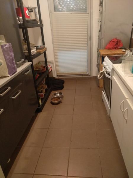Photo du logement