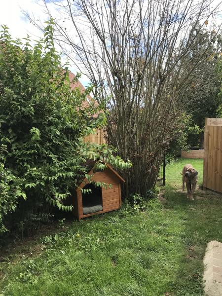 Photo du logement